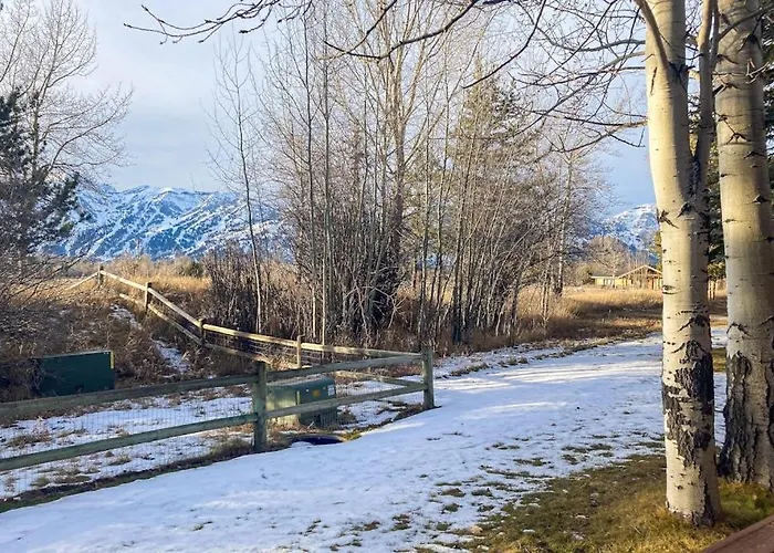 Teton Shadows Darwin F * Jackson